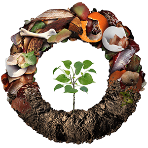 Best Compost Tumbler Bins